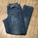 Lane Bryant  Genius Fit straight leg jeans EUC Photo 4