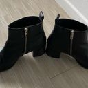 Everlane  Zip up leather ankle booties 8 Photo 7