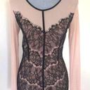 ANGL Lace Mesh Dress Photo 4