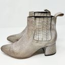 FREEBIRD by Steven  Dane Chelsea Gray Snakeskin Leather Ankle Block Booties US 9 Photo 6