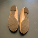 Tory Burch  ballet flats. No size listed on shoe. Tread almost perfect. EUC Photo 1