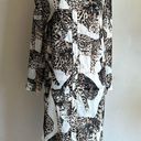 H&M  Conscious Button Down Bengal Cat Dress Size 4 Photo 4