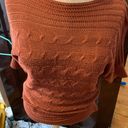 Dress Barn Size Small (Petite) milk chocolate brown  short sleeve knit blouse Photo 6