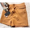 Dear John Suede Shorts Photo 1