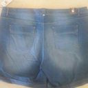 Gloria Vanderbilt Women's 22W Distressed Stretch Shorts  70's esque Photo 0