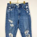 Abercrombie & Fitch  Curve Love High Rise Mom Jean Straight Leg Distressed Size 8 Photo 2