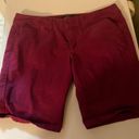 Bermuda Maroon Size 12  Shorts Photo 0