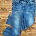 Loft Medium Wash Denim High Rise Vintage Straight Raw Hem Jeans Photo 1