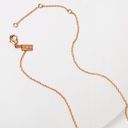 Coach Necklace & Tea Rose Stud Set Photo 1