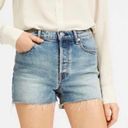 Everlane  The Cheeky High Rise Cutoff Button Fly Jean Shorts Photo 0