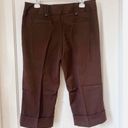 Tracy Evans Tracy Evan’s Limited Sz 10 Beautiful Capri Pants Dressier / Career / Parties Photo 2