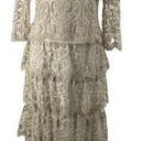 Tadashi Shoji  Tiered Lace Gown Scalloped Embroidered Dress Beige Ivory Womens 10 Photo 0