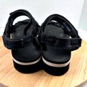 Teva  Platform Athletic Black and White Sport Strap Sandals US 9 EU 40 Like New Photo 2