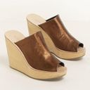 The Moon [Rachel Comey]  Wedge Platform Sandals Slides Lea Bronze Leather NWT Sz 10 Photo 10