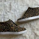 AQUA  College Glady Waterproof Sneaker Leopard Print 8.5M Photo 0