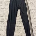 Aviator Nation five stripe charcoal sweatpants Photo 1