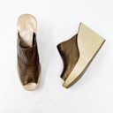 The Moon [Rachel Comey]  Wedge Platform Sandals Slides Lea Bronze Leather NWT Sz 10 Photo 6