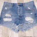 One Teaspoon One X Teaspoon denim festival shorts size 27 Photo 1