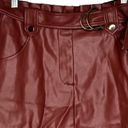 ZARA  Vegan Leather Skirt Photo 1