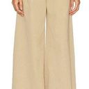 AGOLDE NEW NWT  Daryl Wide Leg Pant In Basket Photo 0