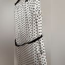 Ralph Lauren Lauren  polka dot sleeveless dress size 10 Photo 4