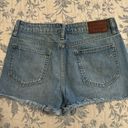 Hidden Jeans Jean Shorts Photo 2