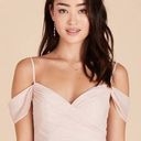 Birdy Grey NWT  Light Blush Gown Photo 0