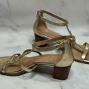 Jack Rogers  JULIA BLOCK HEEL
SANDAL Size 10 in Platinum Photo 7