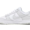 Nike Women’s Dunk Low Photon Dust Photo 1