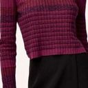 Babaton  Nathaniel space dyed striped cropped sweater in raspberry size Large NWT Photo 0