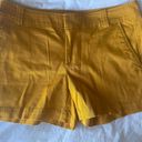 New York & Co. Shorts Photo 0