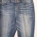 Lane Bryant  Blue Skinny Jeans Size 16R Photo 1