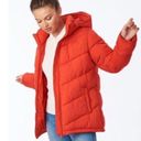 Bernardo NWT  Love Full Circle Hooded Rust Puffer Jacket Sz M Photo 1