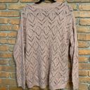 American Eagle  Pointelle‎ Oversized Jegging Fit V-Neck Sweater Pink - Size M Photo 1