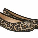 Life Stride  Vivienne Leopard Flats Brown Tan Sizes 7 8 8.5 Photo 1