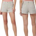 Hudson Jeans HUDSON Jean Shorts Lori High Rise Short In Distressed Peyote Beige Size 32 NWT Photo 1