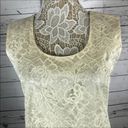 Leslie Fay  sleeveless 
Beautiful lace dress with layered ruffles on the end. Photo 8