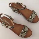 Snake Print Sandals, Size 7 1/2 Gray Photo 4