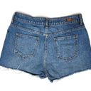 ZARA  basics beaded embroidered denim jean shorts with a raw hem size 6. Photo 2