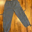 American Eagle Outfitters Jogger Photo 1