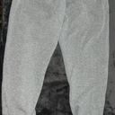 Nike Gray Jogger Sweatpants Photo 1