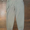 Patagonia  gray cropped jogger pants size L Photo 1