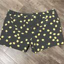 Lane Bryant  Plus Size Summer Vacationcore Lemons Chic Polka Dot Shorts Size 26 Photo 1