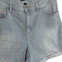 Calvin Klein  Jeans Women’s Plus Size Pin Stripe Jean Shorts Size 14 Photo 3