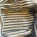 American Eagle Soft Ribbed Striped Mock Turtleneck Photo 1