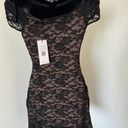 Tiger Mist New  Cyd Dress Size Medium Photo 5