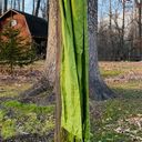 Apple Green 100% Rayon Scarf With Fringe Photo 0