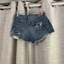 American Eagle Outfitters Shorts Photo 1