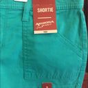 Arizona Jeans NWT $30 Arizona Jean Co. Shortie Shorts Photo 2