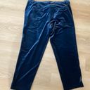 Lucca Couture Blue Velvet Cropped Pants  Photo 1